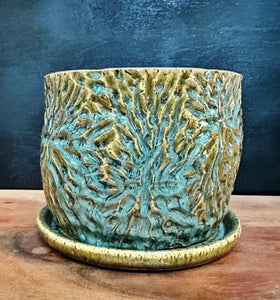 Carved Planter #1