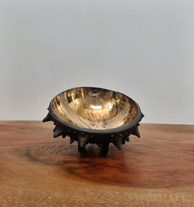 Sea Urchin Trinket Dish